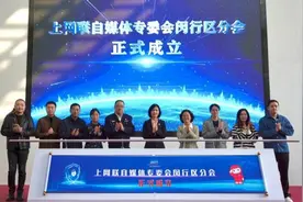“AI时代，如何识别网络谣言并辟谣？”闵行区网络平安联盟成立图片