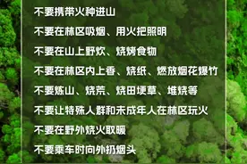 福州下达2025年第3号禁火令！禁止林区一切野外用火！图片