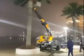 一地县政府花1305万建仿真椰子树被通报后拆除图片