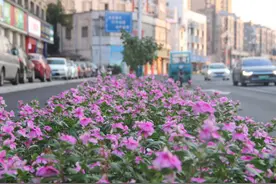 黄山市徽州区：微改造 精提升 打造干净宜居幸福城市图片