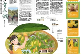 海南鲜品·品鲜海南 | 昌江：芒果之乡有点潮图片