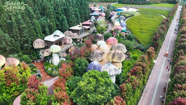 秋景·黔西南｜此情此景，此城一片秋