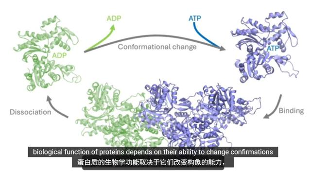AI破译生命，微软蛋白质研究「超级加速器」登上Science