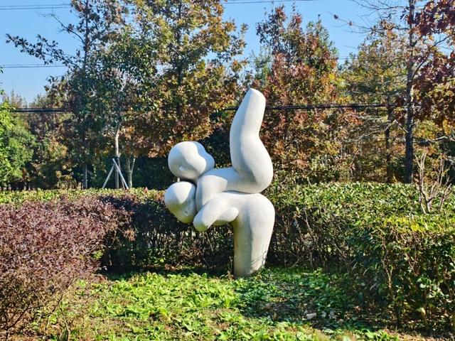 hi，你看到我的小伙伴了吗？