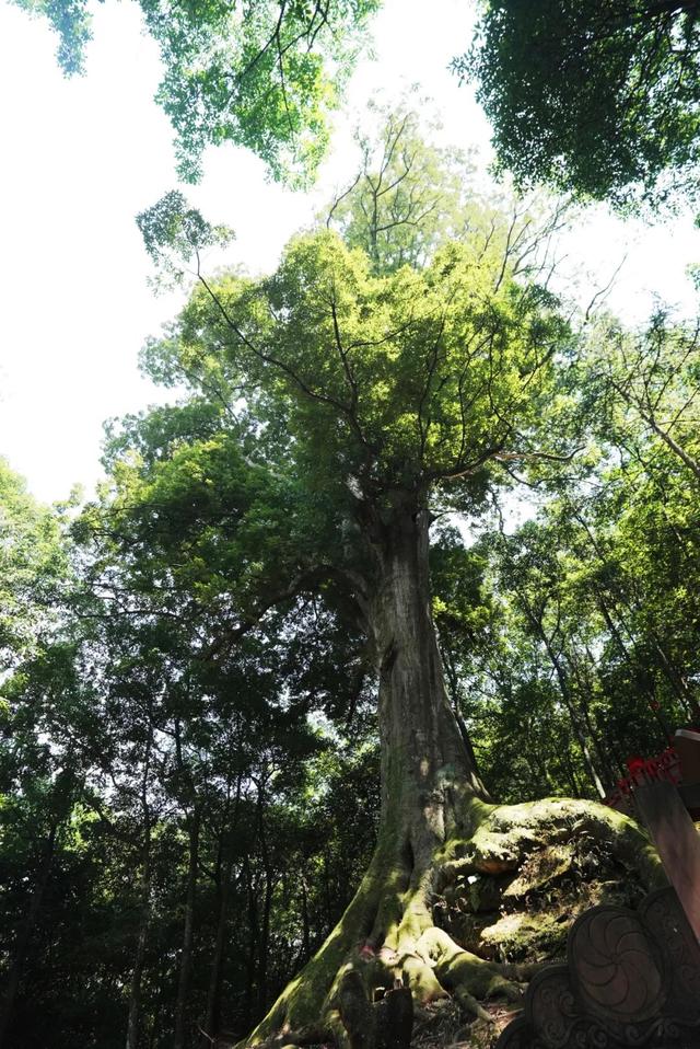 雅安，必经之地