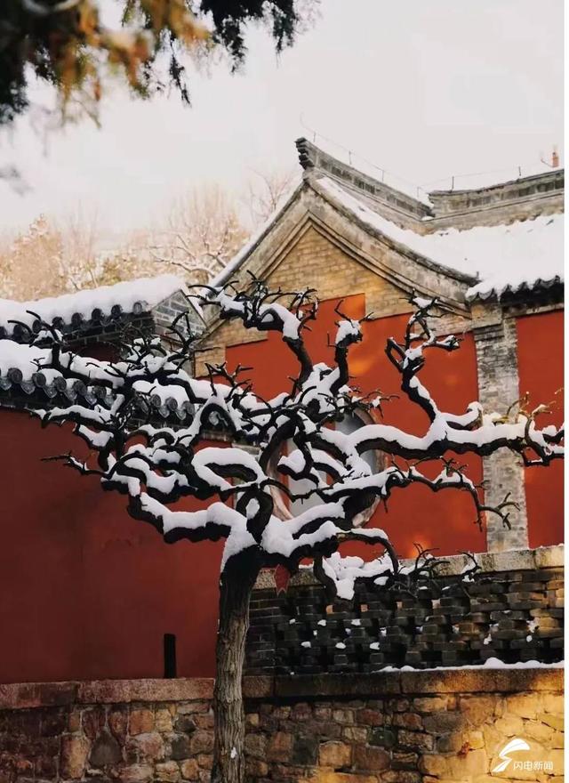 组图丨雪落泰山普照寺 古院美成冬日壁纸