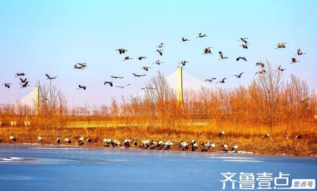 壹点号·秀山东|美丽泉城处处如画，多情山水时时似诗