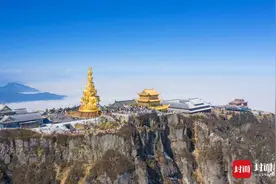 热搜里的峨眉山猴和它的管理员：改变觅食习惯的“原住民”和不当裁判的守护者图片