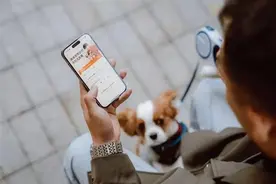 海量财经｜多平台推出宠物“打车”服务 比普通出行贵近45%图片