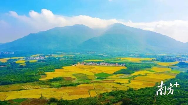 重阳登高，阳东哪座山最让你心驰神往？