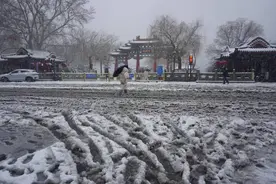 济南“三.二”大暴雪拍摄纪实图片