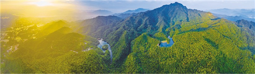 一湖清水、四大名山、小鸟天堂……肇庆这里，还是太全面了