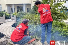张家港高新区（塘桥镇）：打好“组合拳”，人居环境提“质”增“颜”图片