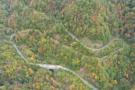 1570米秦岭隧道 连接起两群熊猫的“乡愁”｜寻路蜀道图片