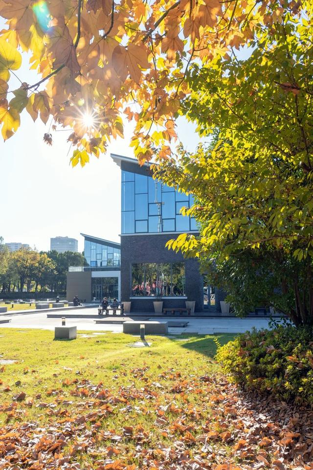 湖光金叶织秋韵