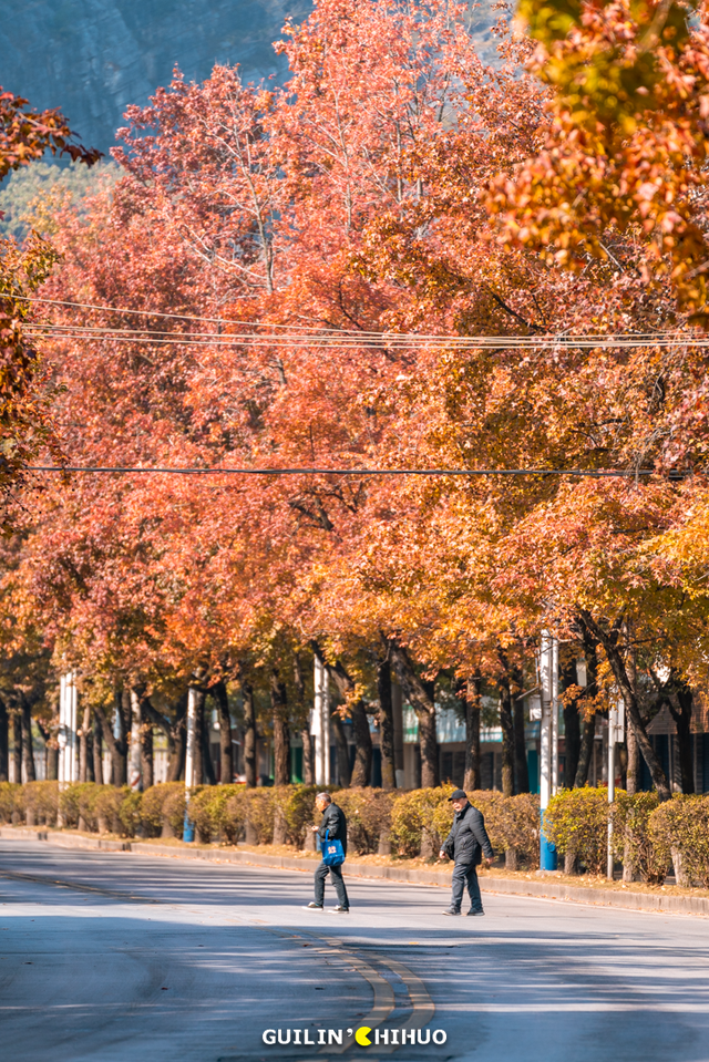 冬至丨解锁桂林的多彩冬天！