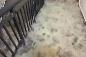 新房刚交付变“水帘洞”？龙华中海项目业主投诉，开发商回应图片