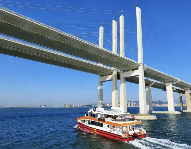 开航即火爆！“海上穿越大桥”航线攻略来啦，速速码住！