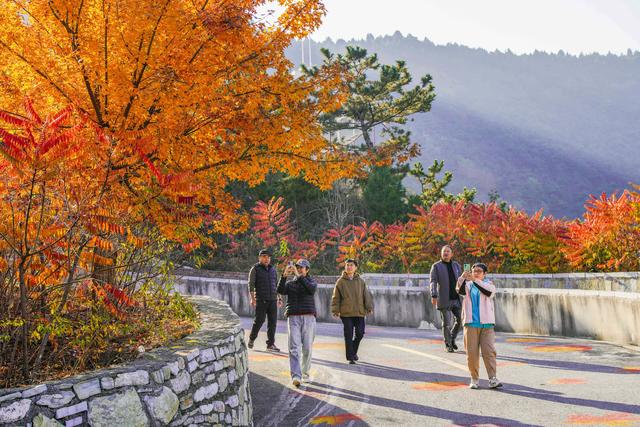 诗意中国｜碧涧流红叶 青林点白云