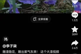 时隔三年！李子柒作品更新登上热搜第一图片