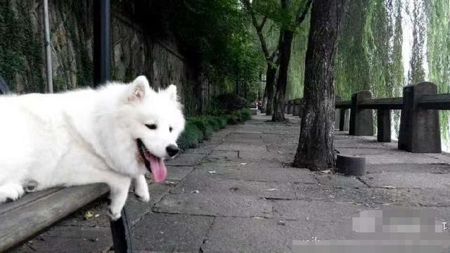 晚潮｜千米运河醉杭城