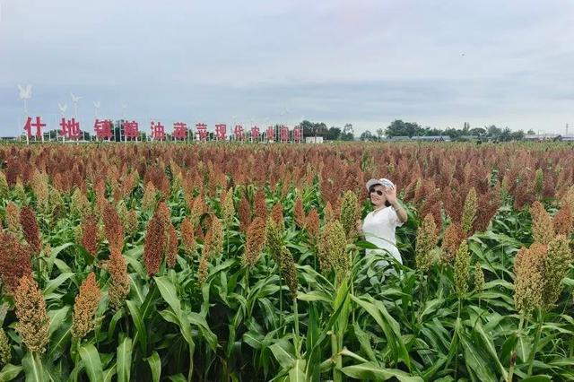 秋日限定打卡地“上新”！德阳这片“粱”辰美景超出片→