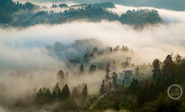 雾绕彩林伴冬阳