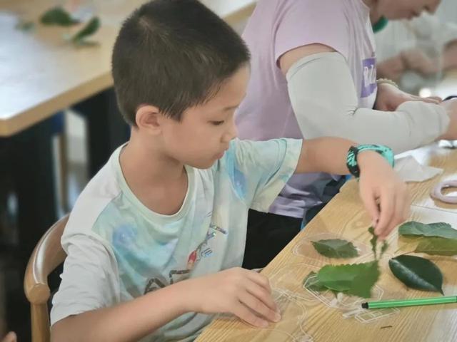 羽林探秘、绿脉解码、古树寻宝……这个暑假，亲子家庭沉浸式体验松江森林课堂