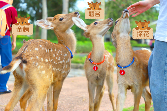 跟着节气来打卡 | 今日立冬，美好正当时！来南宁收藏一帧初冬的浪漫画卷