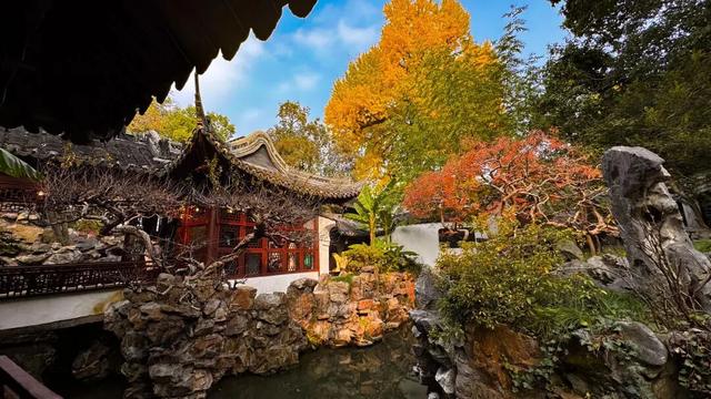 上海赏秋天花板，这波期待值拉满！