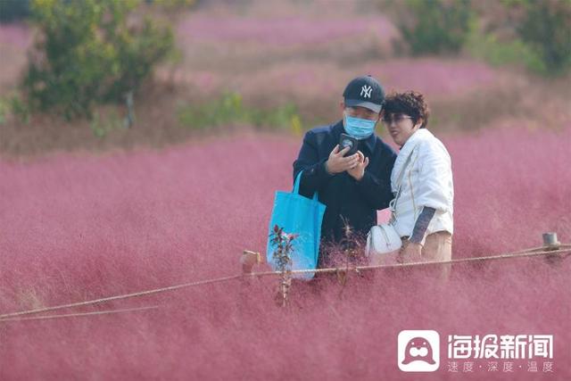 视觉山东一周图选（2025年第44期）