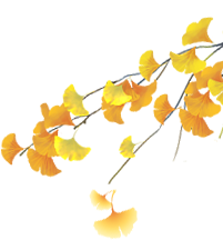 开始黄了，宋夹城“寻金季”正在上线！