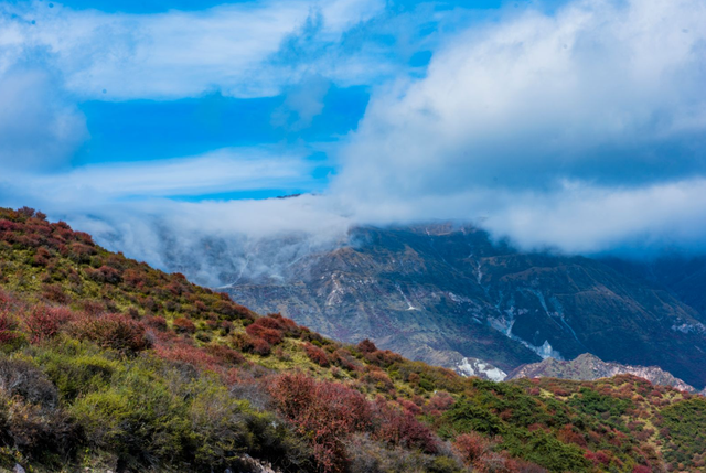 【秋日青海】西宁群加的秋，是风写在山林里的诗
