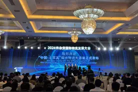 “中国-土耳其”综合物流大通道发布图片