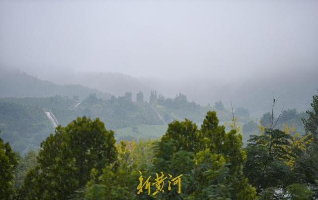细雨蒙蒙、云雾弥漫，泉城“仙气”十足