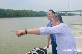 斩断污染黑手，广东中山223.6亩红树林恢复生机图片