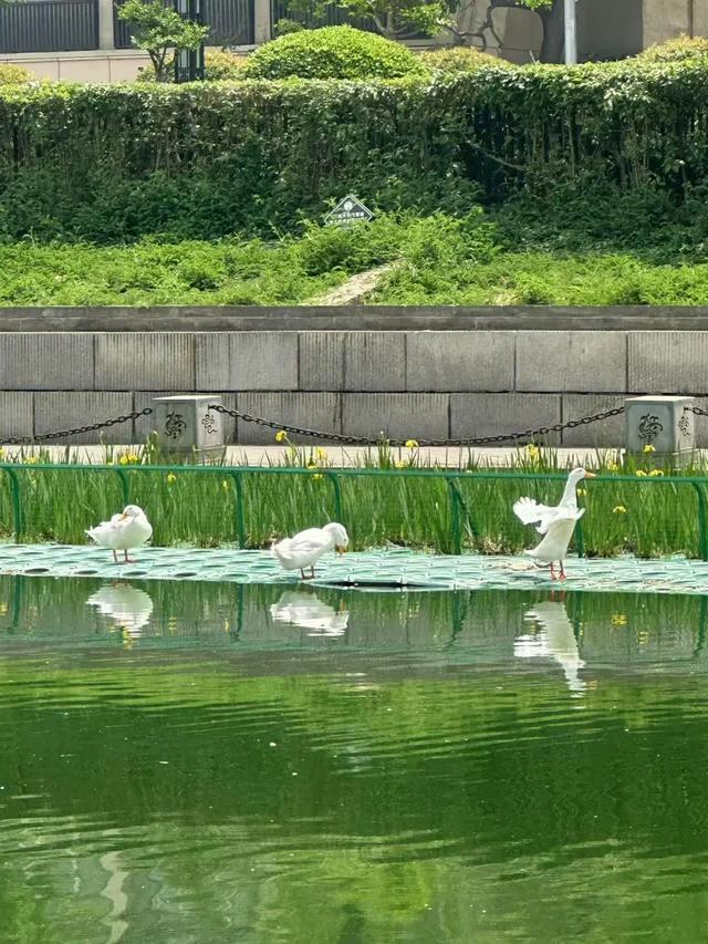 漫步碑林|从晨风到星光，在碑林邂逅夏日“小确幸”