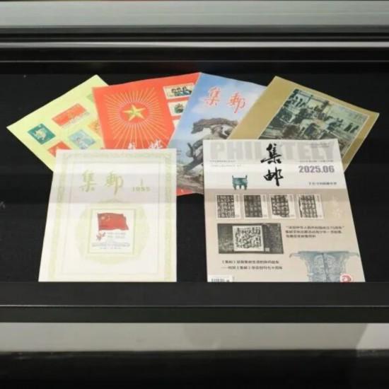 “果冻河”上线！朱家角6大景点“焕新升级”