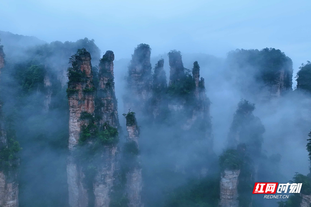 张家界十里画廊雨后云雾缭绕，宛如水墨画卷