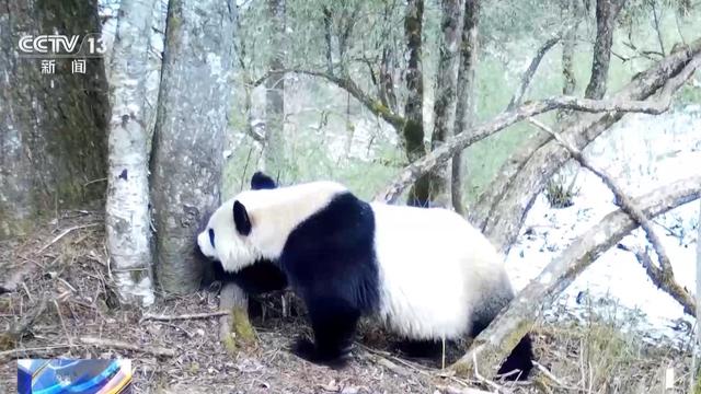 研学游持续升温 走进“绿色课堂”来一场沉浸式自然探索吧