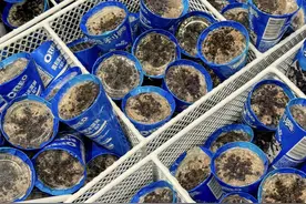 奥利奥搭伙雀巢卖冰淇淋图片