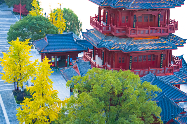 金灿灿！宜都限定美景上线！