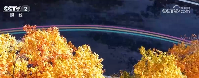 秋日“限定版”美景催热赏秋游 消费市场释放高质量发展新潜力