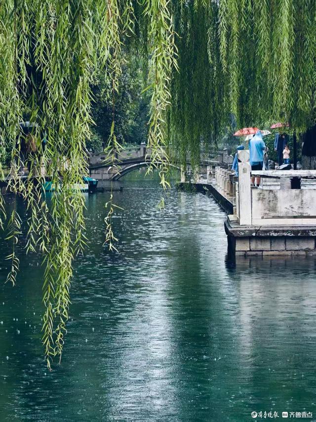 双节拍 | 雨中逛一逛，济南四大泉群之一——珍珠泉