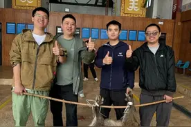 四川绵阳一景区推出徒手逮野兔、野猪活动，逮到可免费带走图片