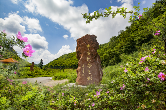 山水清欢，秋韵黔南丨泡温泉、吸氧吧，龙里向你发出秋季邀约