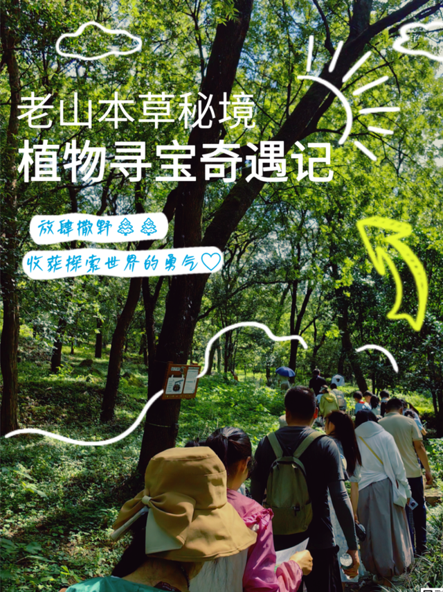呀！南京的秋天掉地上啦