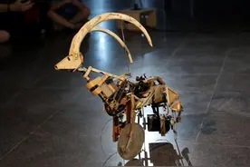 以色列：别具匠心的手工机器人展图片