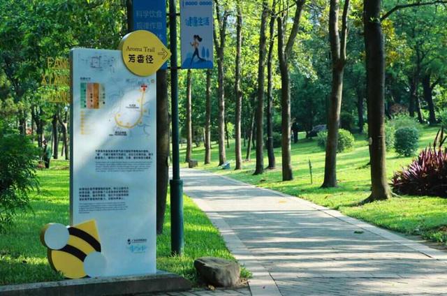 这封珠江公园的“绿色”家书中，藏着广州CBD的“四季画廊”｜信暖珠江④