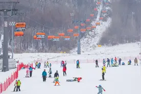东北“冰雪热”提前一个月到来：“滑雪”搜索热度增长100%以上图片